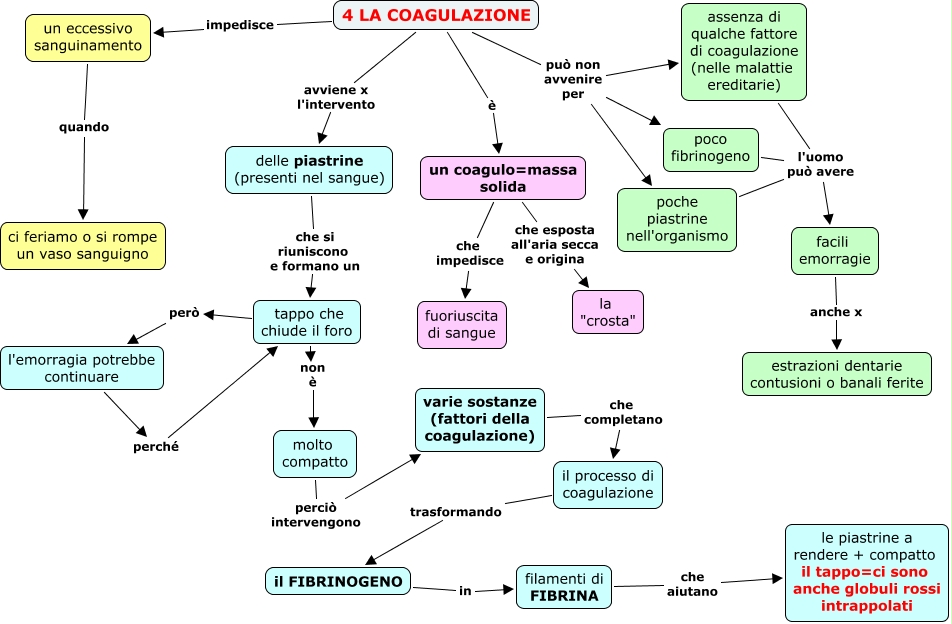4 LA COAGULAZIONE